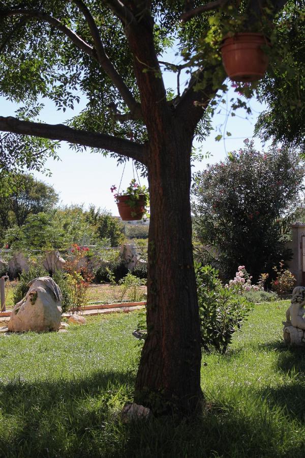 Apartments For Families With Children Privlaka, Zadar - 5747 מראה חיצוני תמונה